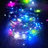 Strängar 2st USB LED Copper Wire String Light Fairy Lights Garlands Outdoor Street Lamp för julgran Garden DIY Bröllopsdekoration