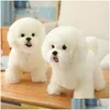 ぬいぐるみのぬいぐるみ高品質のシミュレーションBichon Frize Dog Toy korea life life pomeranian puppy toys home dor cids brithday lj2 dheiv