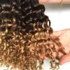 Perruques en dentelle Ombre Deep Wave Bundles Armure de cheveux brésiliens 3 4 Deal Human Malaysian Curly 221212