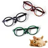 Hundkläder husdjur söta glasögon plast transparent katt sol teddy personlighet rolig klänning utbud dekoration tillbehör