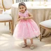 Vestidos de menina de verão meninas sem mangas Princess Dress Kids Kids Lace Flor Flor Primeira Comunhão Crianças Roupas Rosa