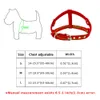 Colliers de chien laisse en strass de chiot