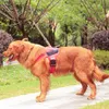 Hondenkragen ontleen aan nylon reflecterende hondenharnas gepersonaliseerd ademende huisdier k9 harnas voor honden huisdierharnas riem set met id patch t221212