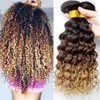Lace Wigs Ombre Deep Wave Bundels Braziliaans haar Weave 3 4 Deal Human Maleisische Curly 221212