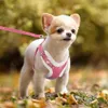 Collari per cani Guinzagli Pettorina per cani calda invernale con guinzaglio imbottito in pelliccia di gatto Gilet per cuccioli Pettorina per sfinge Impermeabile riflettente Cintura per animali domestici Corda Chihuahua XS-L T221212