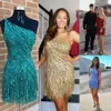 Pailletten-Fransen-Partykleid für Silvester 2023, Quaste, kurz, für formelle Anlässe, Cocktailparty, Hoco-Kleid, Club, Date, Nacht, Tanz, Abschlussball, Festzug, Vorstellungsgespräch, Gala, Urlaub, einschulterig, rot, blau