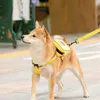 犬の襟の綱は、バッグリーシュ犬のペット犬のバックパックをハーネスセルフキャリア旅行キャンプ子犬猫のアクセサリーチェストストラップ卸売CW369 T221212