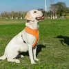 Hundhalsar Leases Truelove Puppy Cat Pet Harness Breattable Mesh Nylon Strap Soft Walk Vest Collar For Small Medium 8Color T221212
