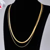 Punk 316L Titanium Steel Gold Chain Designer Halsband Kvinna 18K Double Snake Link Choker Womens Short Silver Halsband Fashion Hip Hop Jewelry Friend Gift