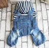 Hondenkleding puppy kleding jeans jas lente zomer kleding poedel chihuahua gestreepte denim jumpsuit pet outfit hondenaccessoires