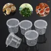 Garrafas de armazenamento 25pcs pequenos contêineres de alimentos descartáveis ​​de plástico de plástico molho de copo