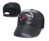 Casquettes de balle classiques qualité serpent tigre abeille chat toile mettant en vedette hommes casquette de Baseball mode femmes chapeaux en gros