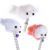 Cat Toys 2/4 PCS Котенок играет на домашних животных смешное упругое перенос