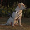 犬の襟のリーシュ犬ハーネス反射ベストタイプビッグドッグチェストハーネス爆発防止調整可能なペット胸ストラップトレーニングペットハーネスT221212