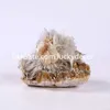 Natuurlijke apophyllite zeolietweergave stuk hoge vibratiegeschenken onregelmatige ruwe scolecietspray stilbietkristallen cluster genezende minerale specimen collecties