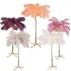 Floor Lamps Jimlite Lighting The Ostrich Feather Lamp Light Modern Copper Living Room El Removable Body