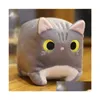 Stuffed Plush Animals Square Love Fat Cat Doll Soft Cute Big Face Pussy Ragdoll For Children Soothing Cylindrical Lithe Down Cotto Dho2T