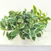 Decorative Flowers Artificial Bonsai Simulation Plant Potted Backdrop Wall Home Garden Office Decoration Table Decor Display Flower