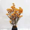 Fleurs décoratives 50g fruits de millet naturels fleurs séchées salon décoration de mariage cadeau artificiel pour la maison pampa