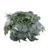 Decorative Flowers Plastic Artificial Vine Garland Decor Eucalyptus Willow Leaves Plant Wreath Greenery For Home Wedding Party Garden