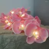 Dizeler Tatil Orkide Çiçek Işık Çelenk Noel/ Yıl Odası Dekorasyon Düğün Etkinliği/ Spa Vazo Çiçek Düzenleme Led Dekor.
