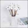 Decorative Flowers Wreaths Naturally Dried Cotton Plants Branch For Wedding Party Decoration Artificial Pography Props Florist Dro Ot50W