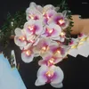 Dizeler Tatil Orkide Çiçek Işık Çelenk Noel/ Yıl Odası Dekorasyon Düğün Etkinliği/ Spa Vazo Çiçek Düzenleme Led Dekor.