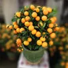 50 Stück/Beutel Obstsamen, supersüße Bio-Mandarinensamen, natürliche Topffrüchte, mehrjährige Honigorangensamen für Hausgarten-Dekoration, DIY-Bonsai-Pflanze