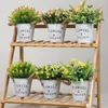 Fleurs décoratives plantes d'herbe artificielle bonsaï pissenlit pour la décoration de la maison bureau faux Vase de mariage en plastique en pot