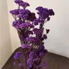 Fiori decorativi 50g Miglio naturale Frutta secca Fiore Soggiorno Decorazione di nozze Giardino fiorito artificiale Fuori Boho Decor