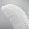 Plumes d'autruche DIY 25-30cm, pièce maîtresse pour décoration de Table de fête de mariage, décorations de mariage