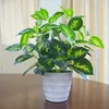 Dekorativa blommor Amenmo Garden Decoration Green Leaves Plant Simulation Pots Artificial Life Like Epipremnum Aureum With Vase