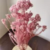 Decorative Flowers 50g Natural Millet Fruit Dried Artificial Bedroomwedding Decoration Wedding Gifts For Guests Ramadan 2022