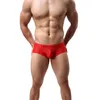 Wholesale Men's underpants Low Rise Lace Transparent Sexy briefs C502 C503