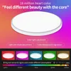 WIFI Smart LED Round Ceiling Light RGBCW Dimmable Tuya App متوافق مع Alexa Google Home Bedroom Room Ambient Light Lamps LRS016