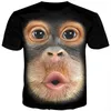 Herren-T-Shirts, Sonspee, modisches 3D-T-Shirt, lustig bedruckt, Brusthaar, Muskel, kurzärmelig, Harajuku, Spoof Monkey Face Tee