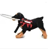 Hundhalsar Blind Halo Collar Guide Training Beteende AIDS Fit Small Big Dogs Prevent Collision Supplies