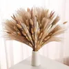 Fleurs décoratives Boho Décor Herbe De Pampa Moelleux Naturel Vraies Herbes De Pompas Séchées Pour La Décoration De Mariage Maison Phragmites Dekoration