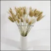 装飾的な花の花輪20pcs/lot乾燥テールグラスパンパス天然植物ブーケオフィス装飾テーブルセンターピースドロップデリOT3RC