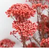 Decorative Flowers 50g Natural Millet Fruit Dried Artificial Bedroomwedding Decoration Wedding Gifts For Guests Ramadan 2022