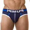 Underpants Cotton Low Waist Gay Panties Jockstrap Men's Briefs Innerwear Sexy Man Underwear Brief Men Mens