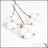 Decorative Flowers Wreaths Naturally Dried Cotton Plants Branch For Wedding Party Decoration Artificial Pography Props Florist Dro Ot50W