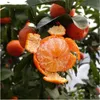 50 Stück/Beutel Obstsamen, supersüße Bio-Mandarinensamen, natürliche Topffrüchte, mehrjährige Honigorangensamen für Hausgarten-Dekoration, DIY-Bonsai-Pflanze