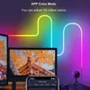 Striscia di luce al neon Colore da sogno WIFI Bluetooth Corda luminosa fai-da-te 5m 12V Sincronizzazione musicale Controllo APP TV Retroilluminazione Gioco Soggiorno Camera da letto Bar Decorazioni per feste