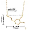 Pendentif Colliers Mode Chimique Molece Cuivre Or Sier Plaque Chaîne Collier Pour Femmes Professeur De Sciences Professeur Réglable Bijou ot2he