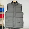 Gilets pour hommes Mode hommes gilet vers le bas coton gilet conceptions hommes et femmes sans manches veste bouffante automne hiver manteaux décontractés couples gilets garder au chaud manteau