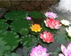 10/18 Cm Flottant Artificielle Lotus Faux Plante DIY Nénuphar Simulation Lotus Maison Jardin Décoration Pas Cher Décor Extérieur Pas Cher