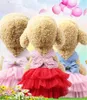 Abbigliamento per cani primavera estate Bowknot Costume per animali domestici Abito da principessa Abito a strisce per gatti Tutu per feste di nozze Gonna per cani