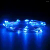 Cordes 100 pièces blanc chaud/blanc froid/R/G/B 2M 20 Led chaîne 3 batterie couleur argent fil de cuivre Mini fée lumière lampe