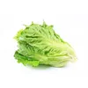Семена овощей Органические зеленые листовые овощи семена 12 Киндс свежие роман салат салат шалот сельдерей китайский капуста семена Кориандр Полный сорт в общей сложности 1500 шт.